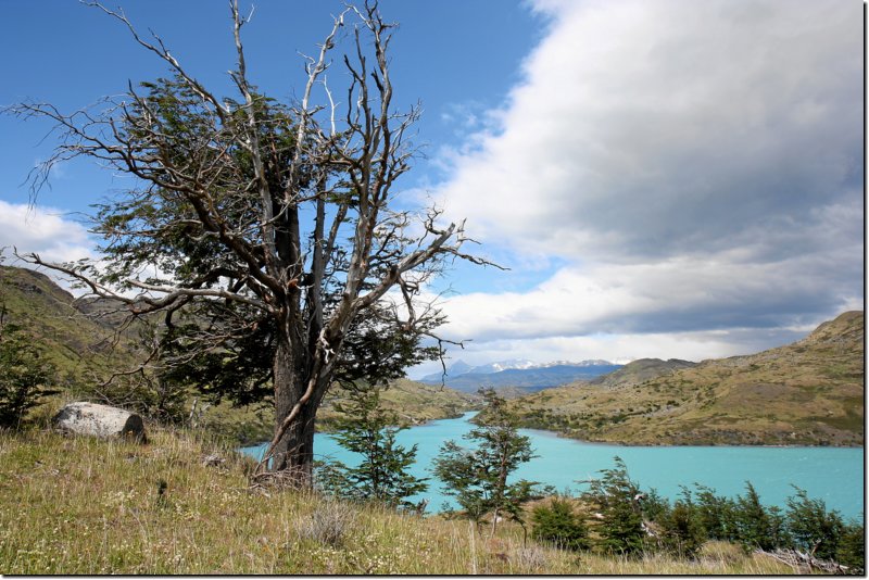 patagonien-098.jpg