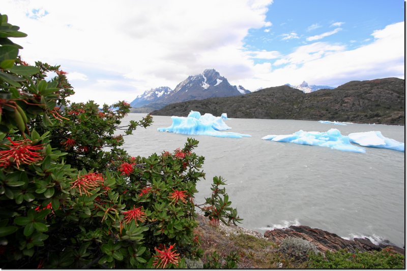 patagonien-110.jpg