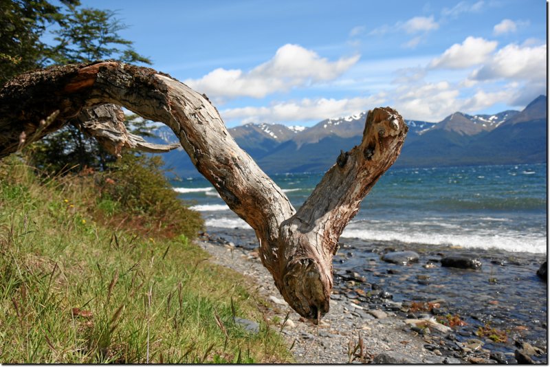 patagonien-660.jpg