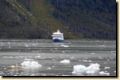 patagonien-488.jpg