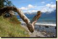 patagonien-660.jpg
