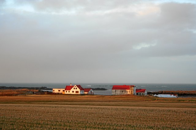 island223.jpg