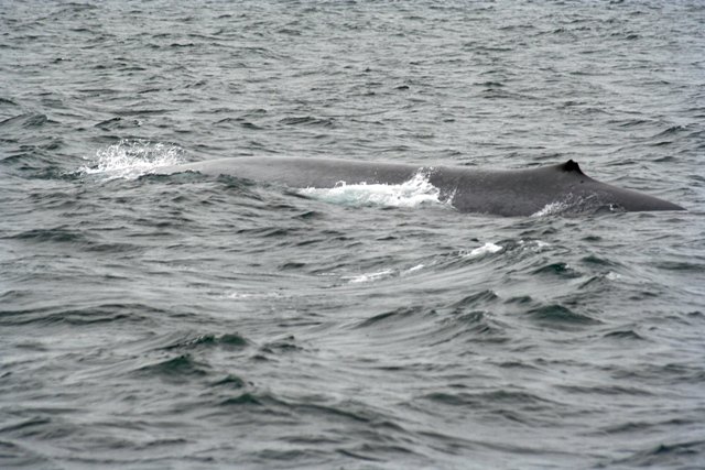 island0845.jpg