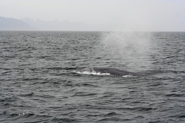 island0850.jpg