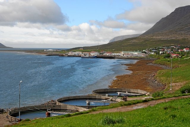 island1248.jpg