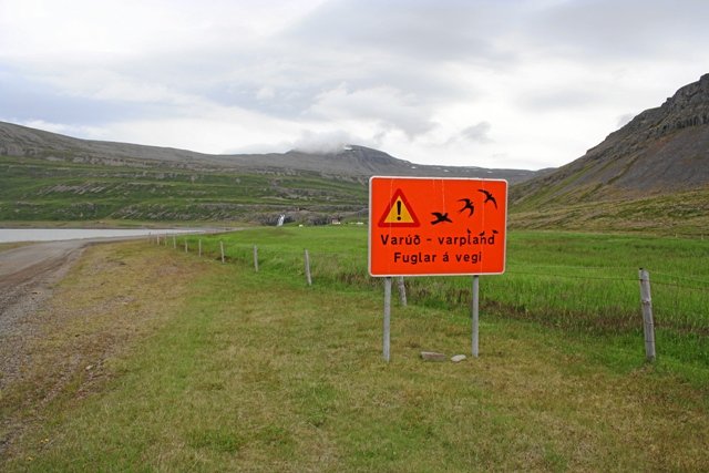 island1253.jpg
