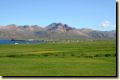 island0679.jpg