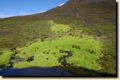 island1028.jpg
