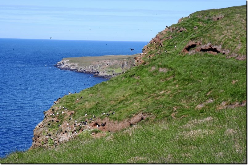 island-hp157.jpg