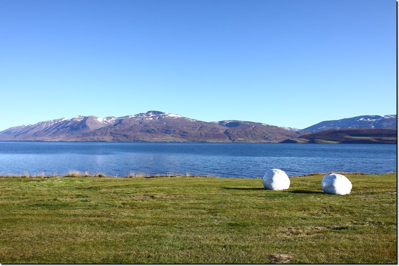 island_482.jpg