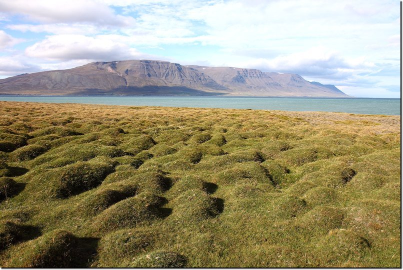 island_604.jpg