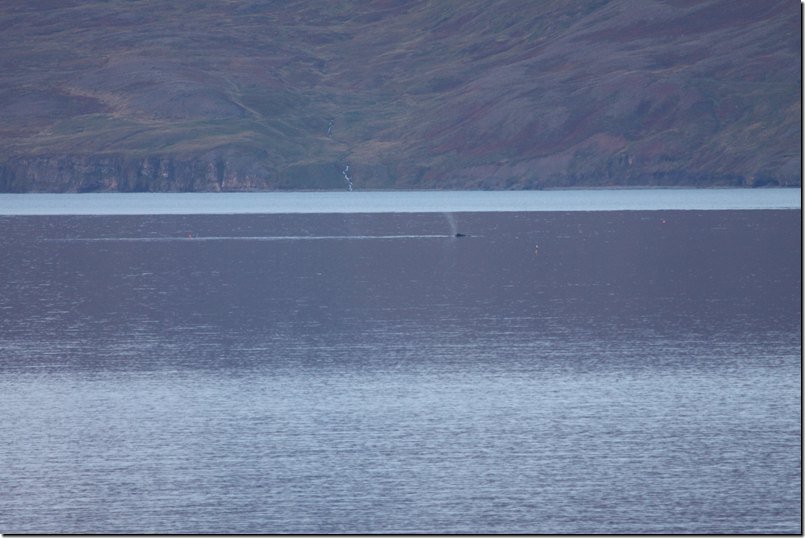 island_662.jpg