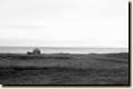 island_303.jpg