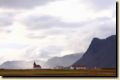 island_340.jpg