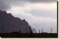 island_429.jpg