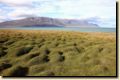 island_604.jpg