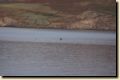 island_658.jpg