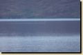 island_662.jpg