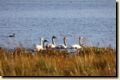 island_670.jpg