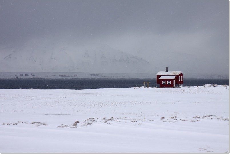 island_499.jpg
