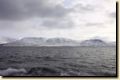 island_540.jpg